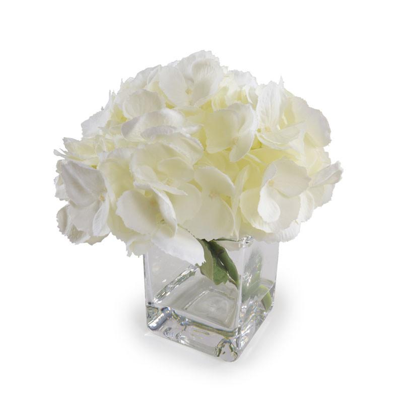 Hydrangea Cutting - New Growth Designs