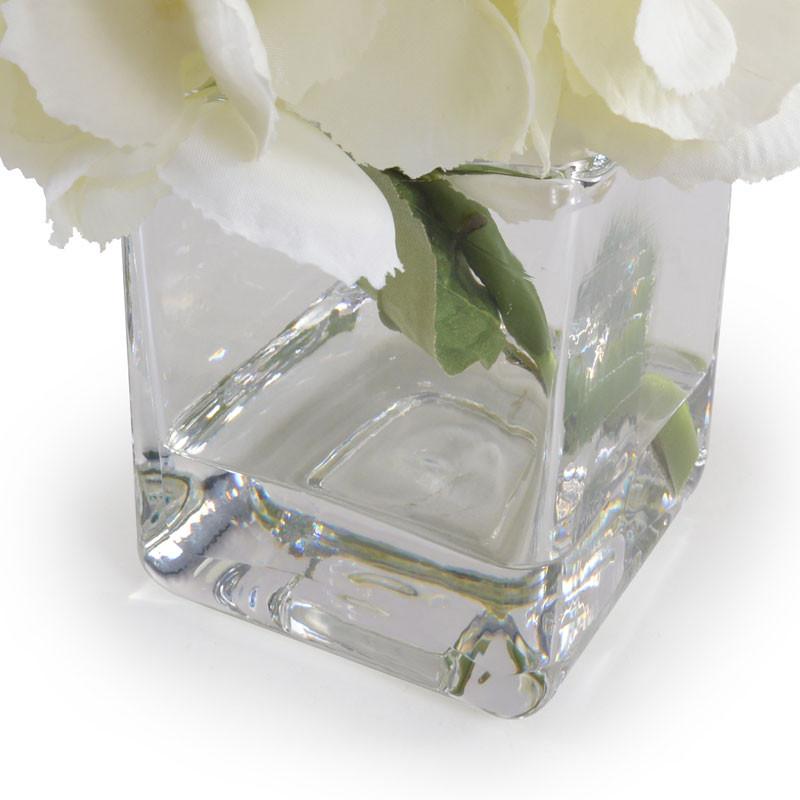 Hydrangea Cutting - New Growth Designs