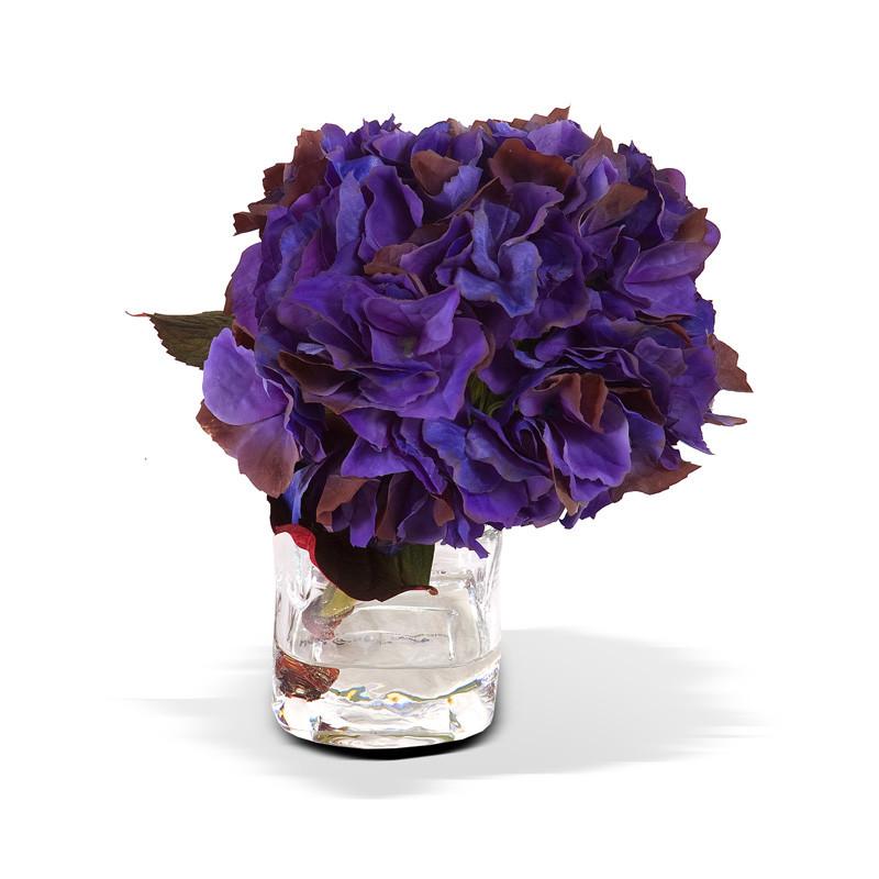 Hydrangea Cutting - New Growth Designs