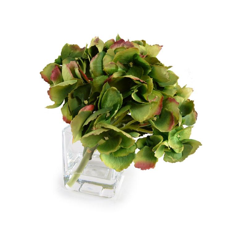 Hydrangea Cutting - New Growth Designs