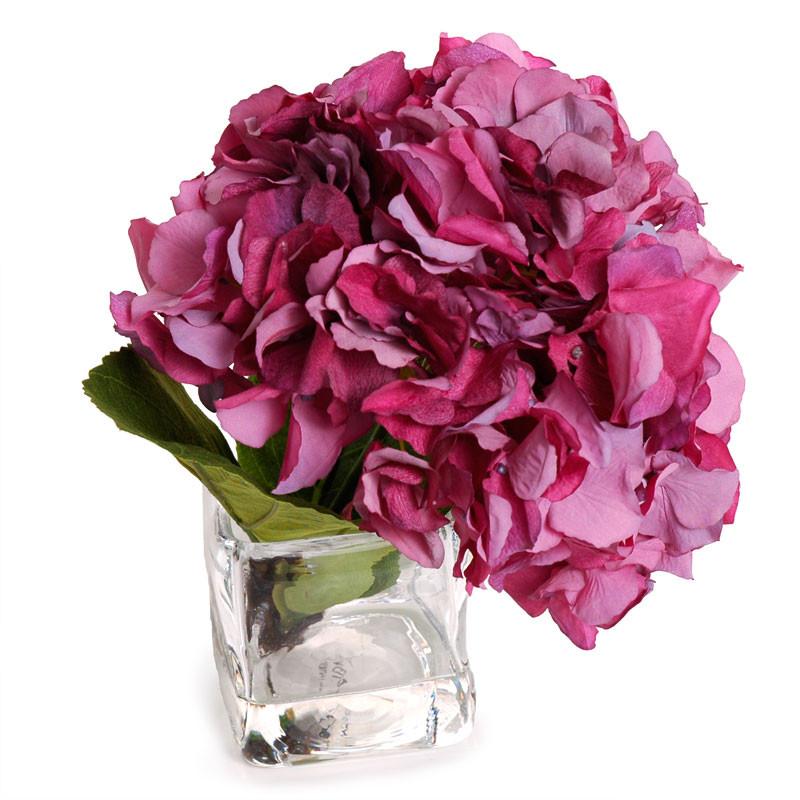 Hydrangea Cutting - New Growth Designs