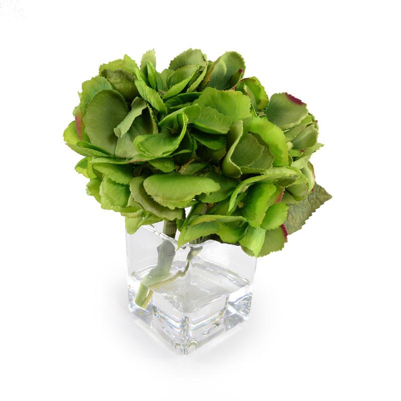 Hydrangea Cutting - New Growth Designs