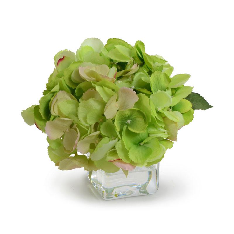 Hydrangea Cutting - New Growth Designs