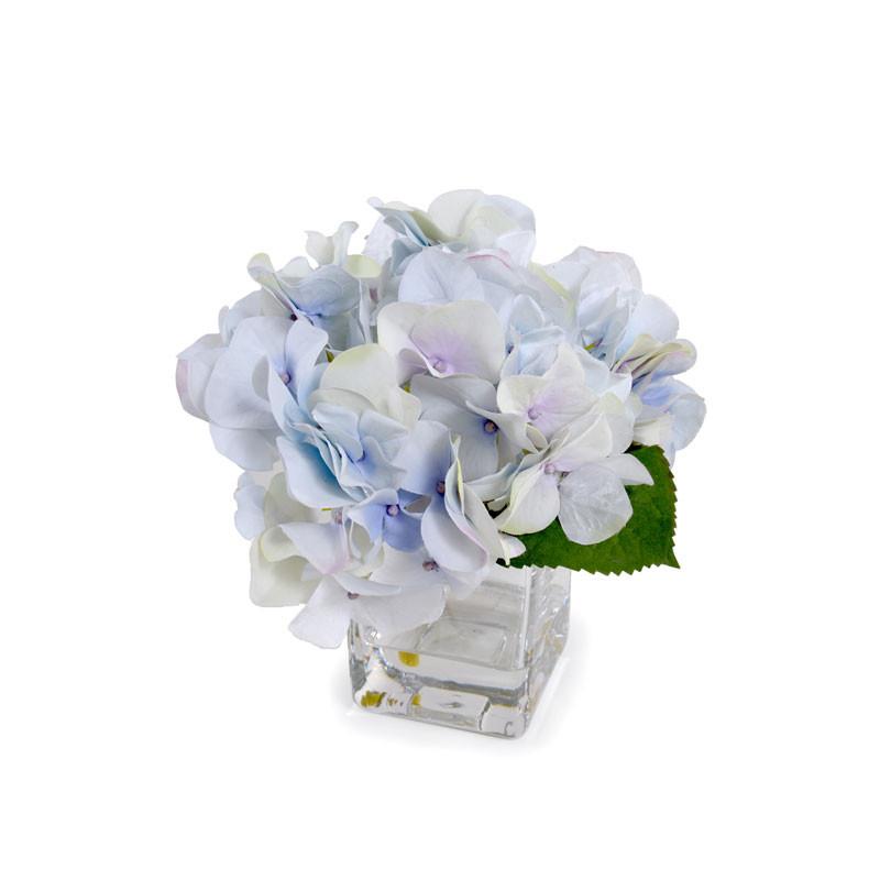 Hydrangea Cutting - New Growth Designs