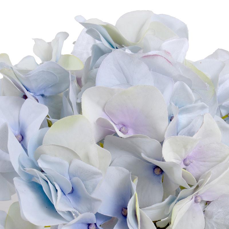 Hydrangea Cutting - New Growth Designs