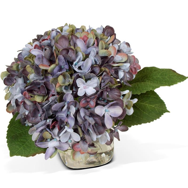 Hydrangea Cutting - New Growth Designs