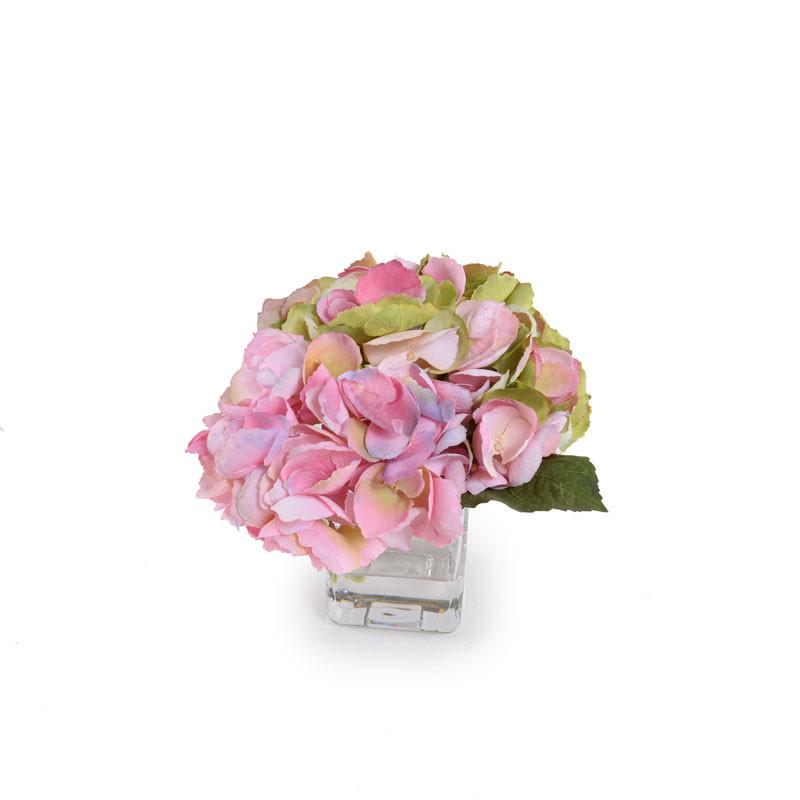 Hydrangea Cutting - New Growth Designs