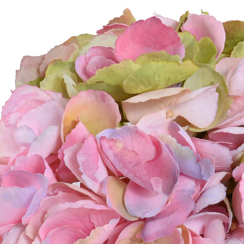 Hydrangea Cutting - New Growth Designs