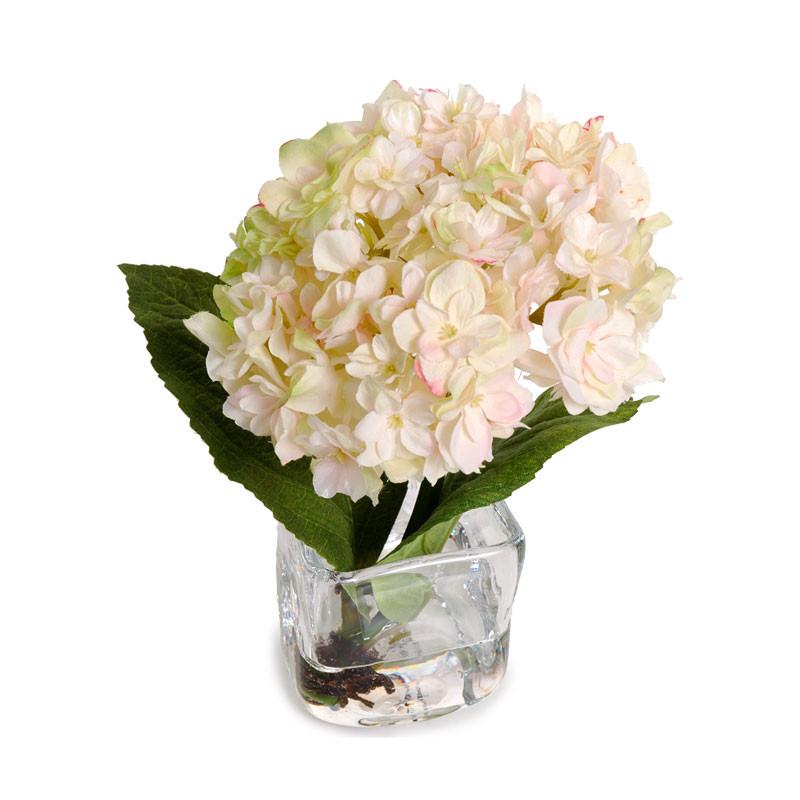 Hydrangea Cutting - New Growth Designs
