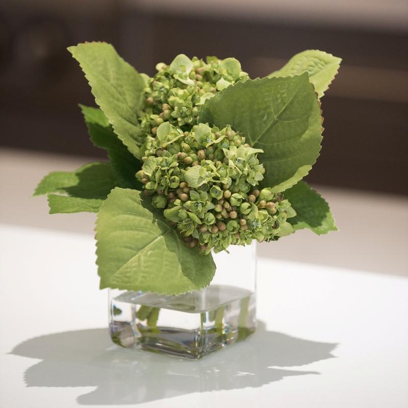 Hydrangea Buds - New Growth Designs