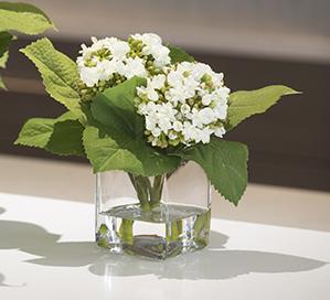 Hydrangea Buds - New Growth Designs