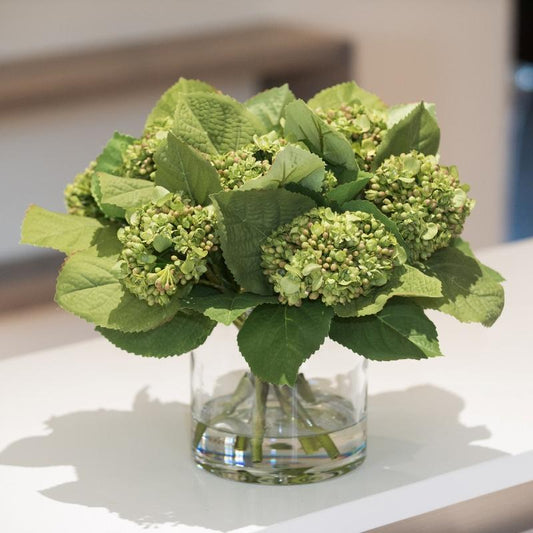 Hydrangea Buds - New Growth Designs