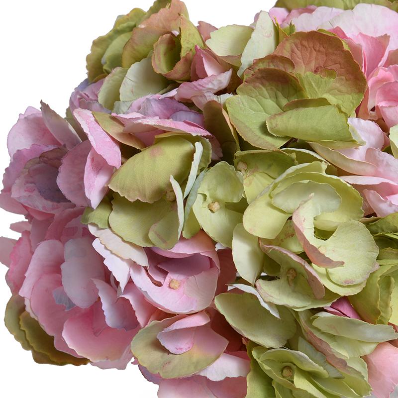 Hydrangea Blossoms - New Growth Designs