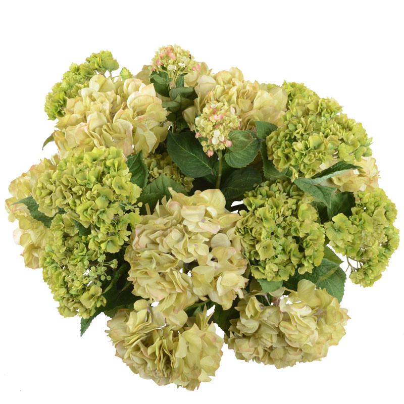 Hydrangea Arrangement - New Growth Designs