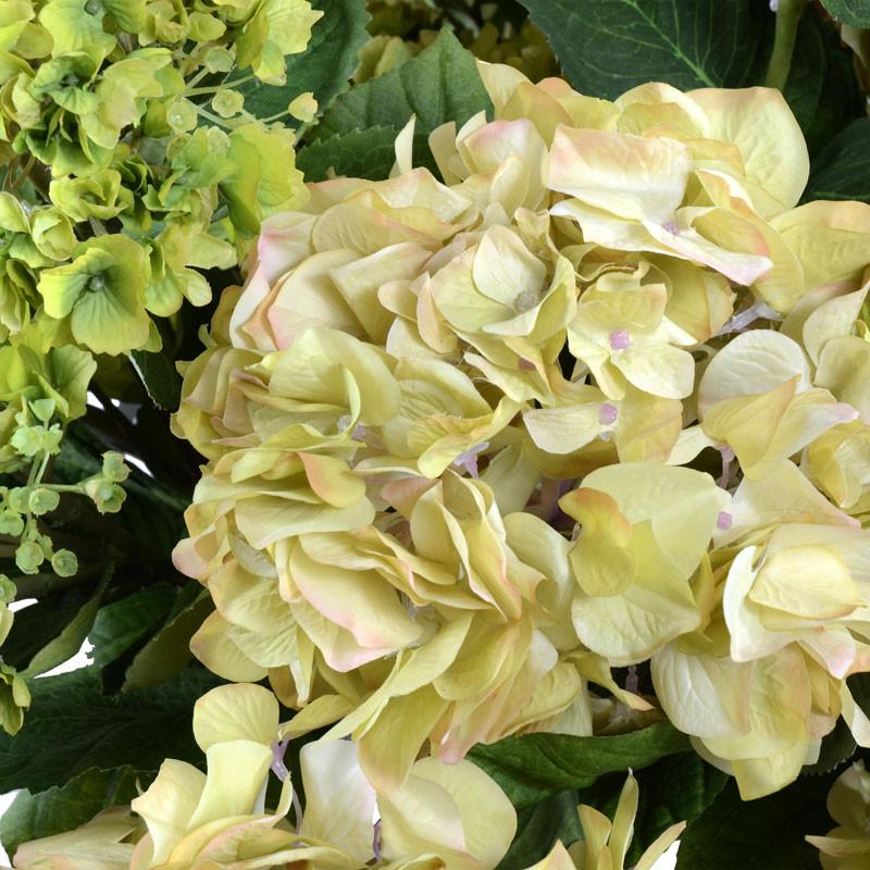 Hydrangea Arrangement - New Growth Designs