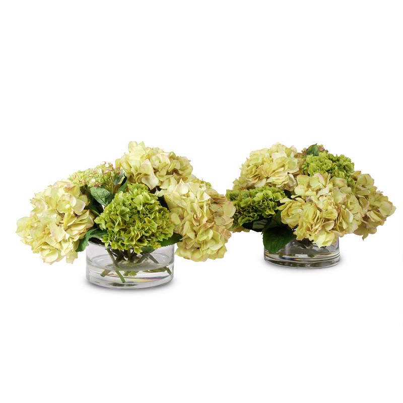 Hydrangea Arrangement - New Growth Designs
