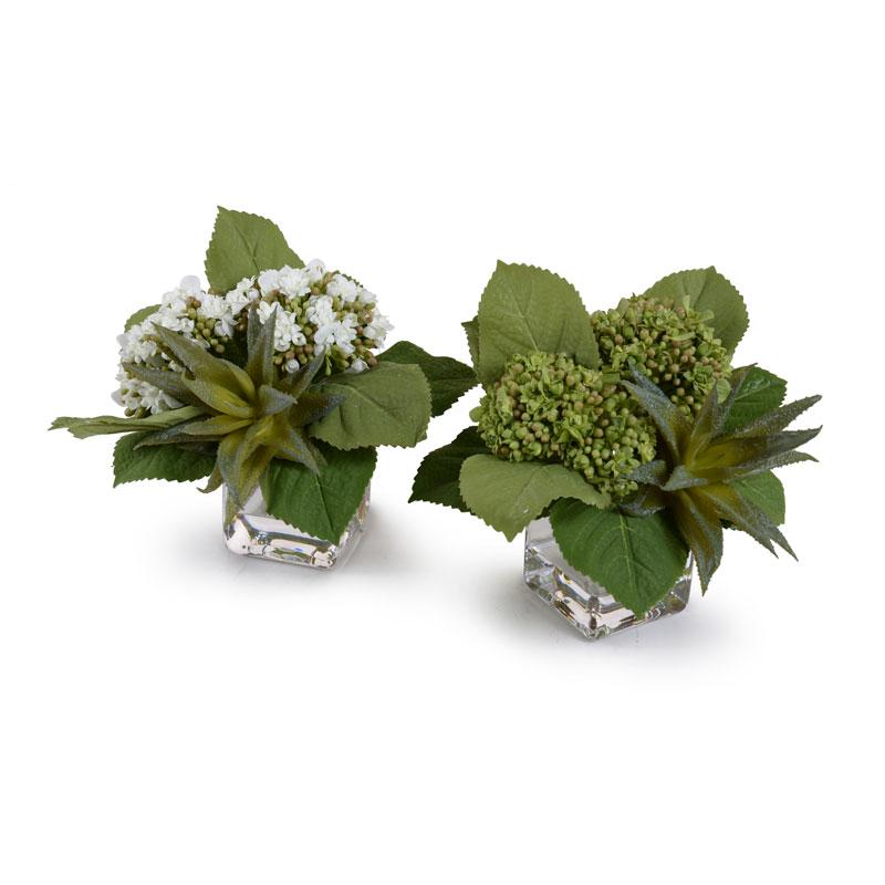 Hydrangea & Succulent - New Growth Designs
