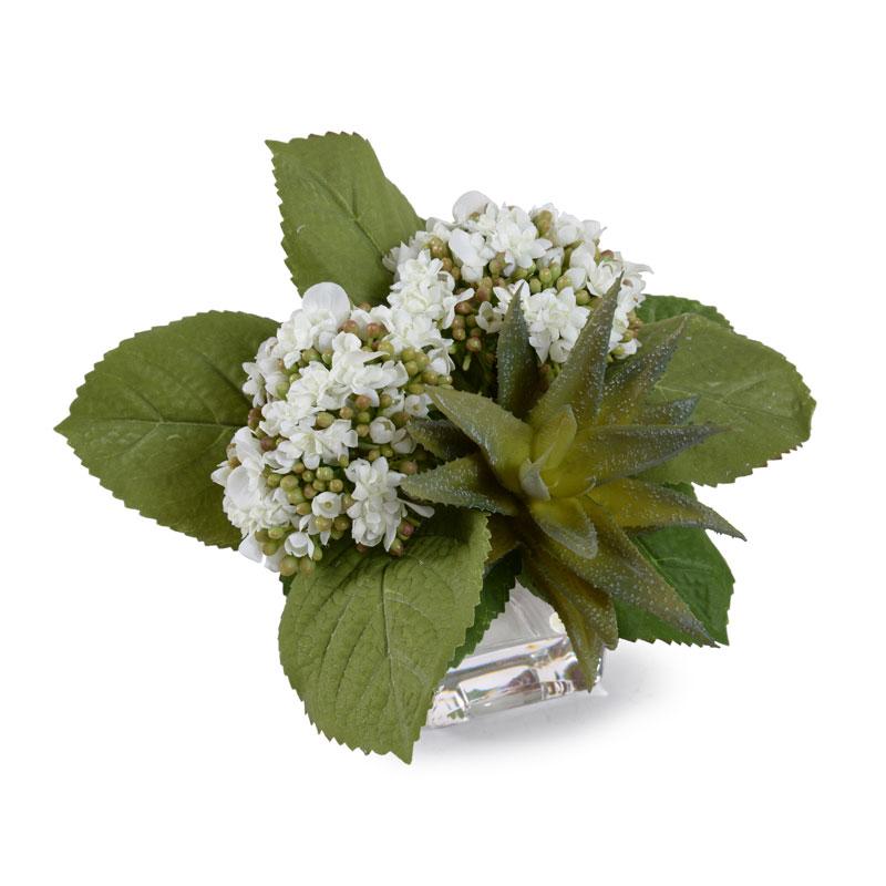 Hydrangea & Succulent - New Growth Designs