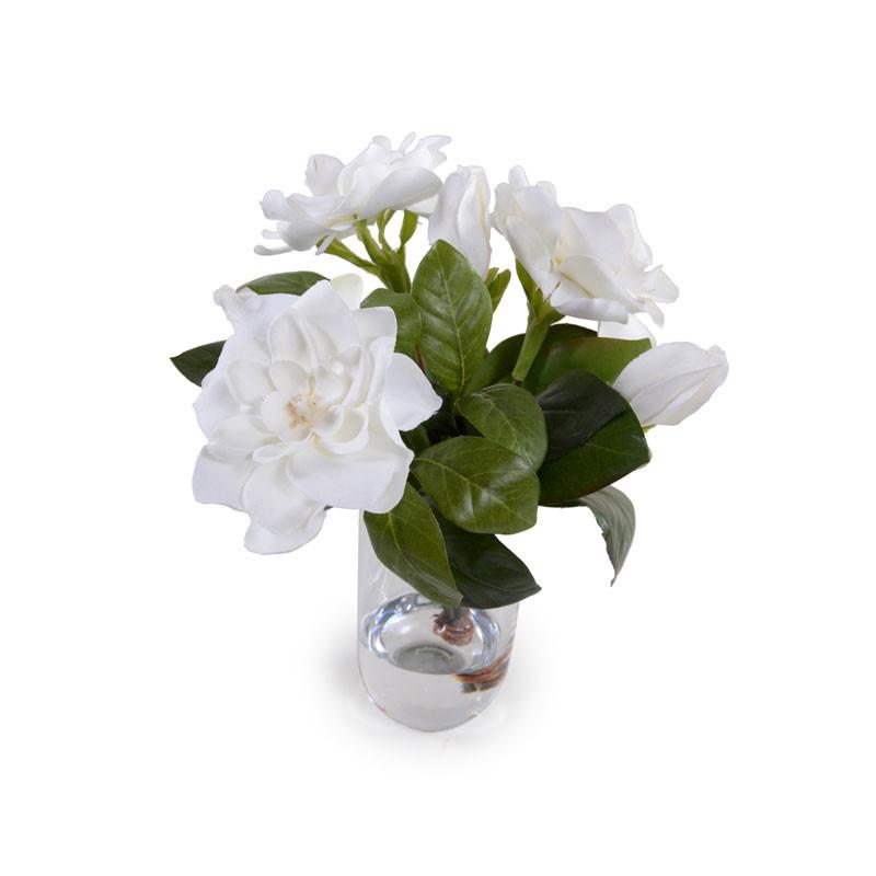 Gardenia Cutting - New Growth Designs