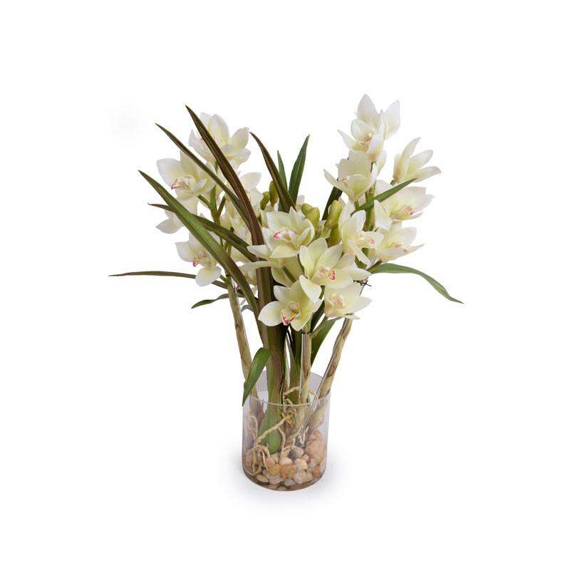 Cymbidium Orchid - New Growth Designs