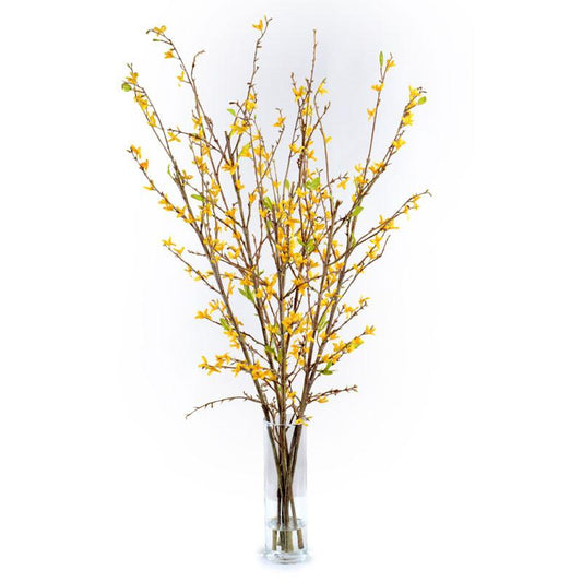 Forsythia Arrangement - New Growth Designs