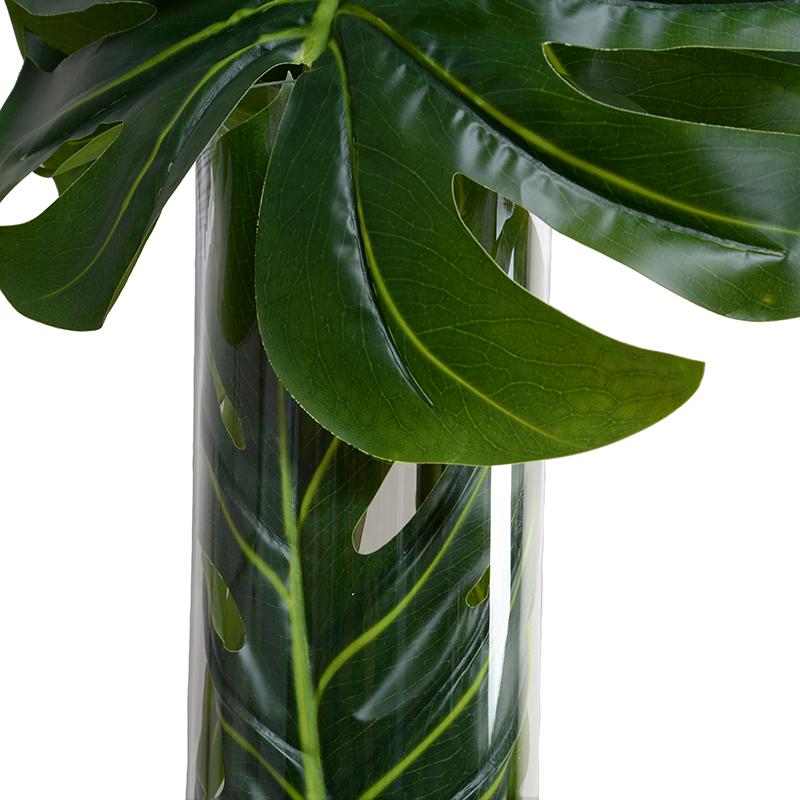 Large Monstera Leaf in Glass Cylinder