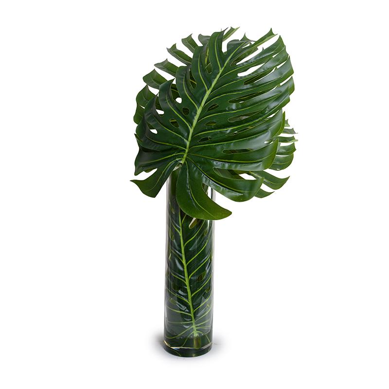 Large Monstera Leaf in Glass Cylinder