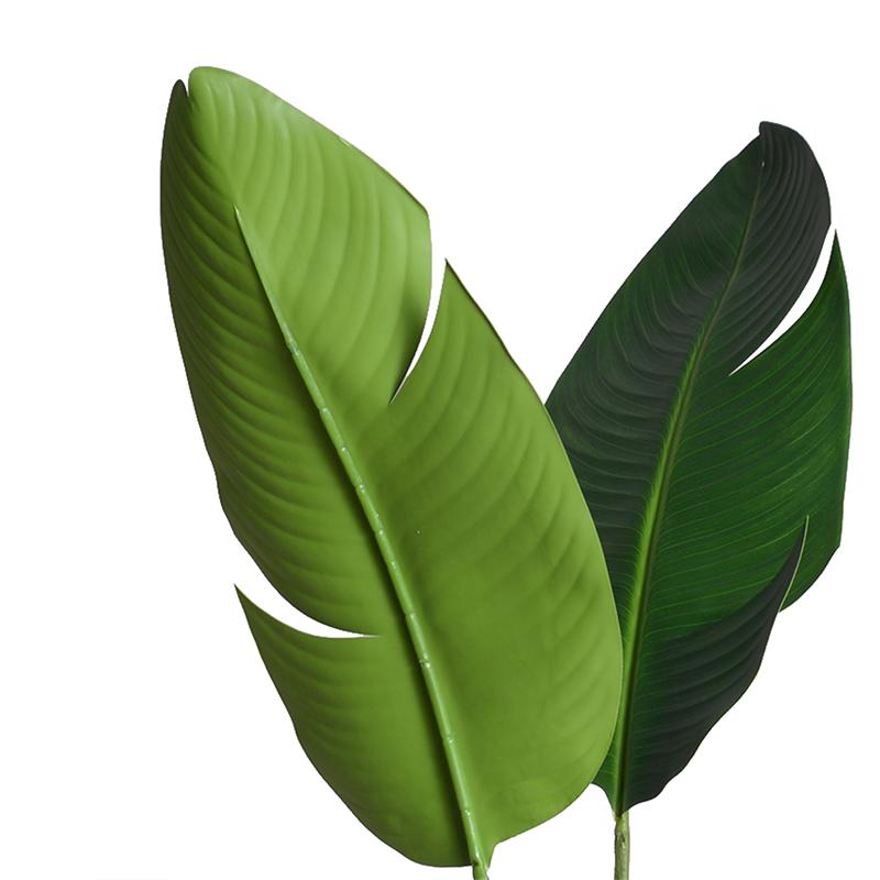 Bird of Paradise (Stretlitzia) - New Growth Designs