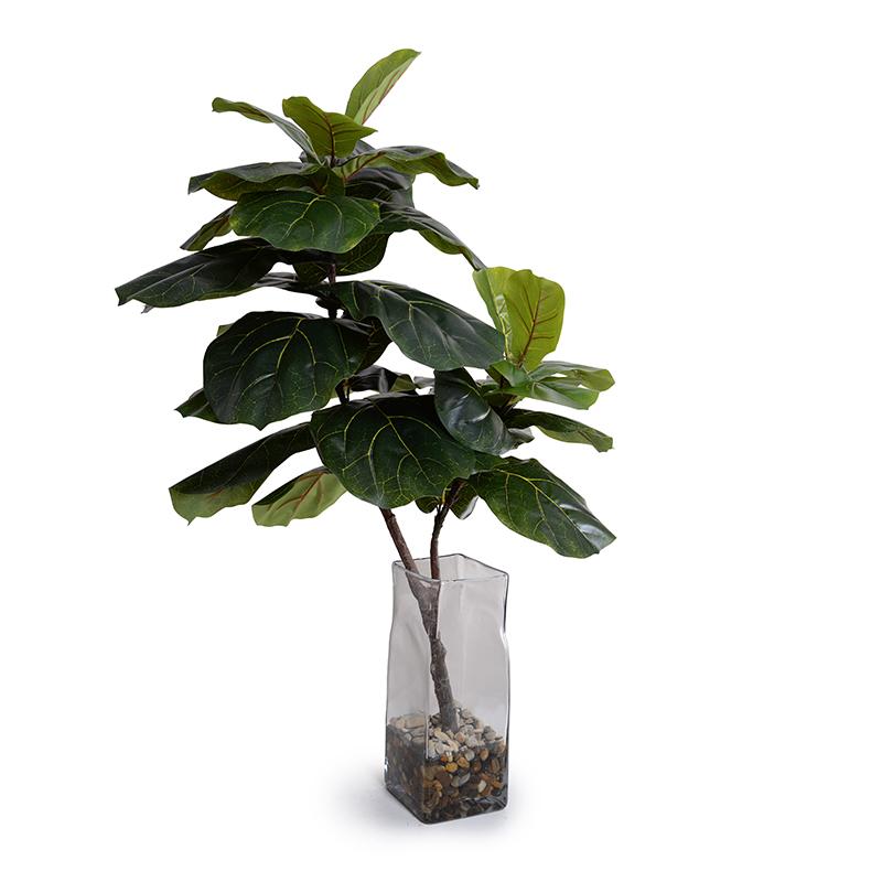 Fiddle Leaf Fig Branch in Glass Column
