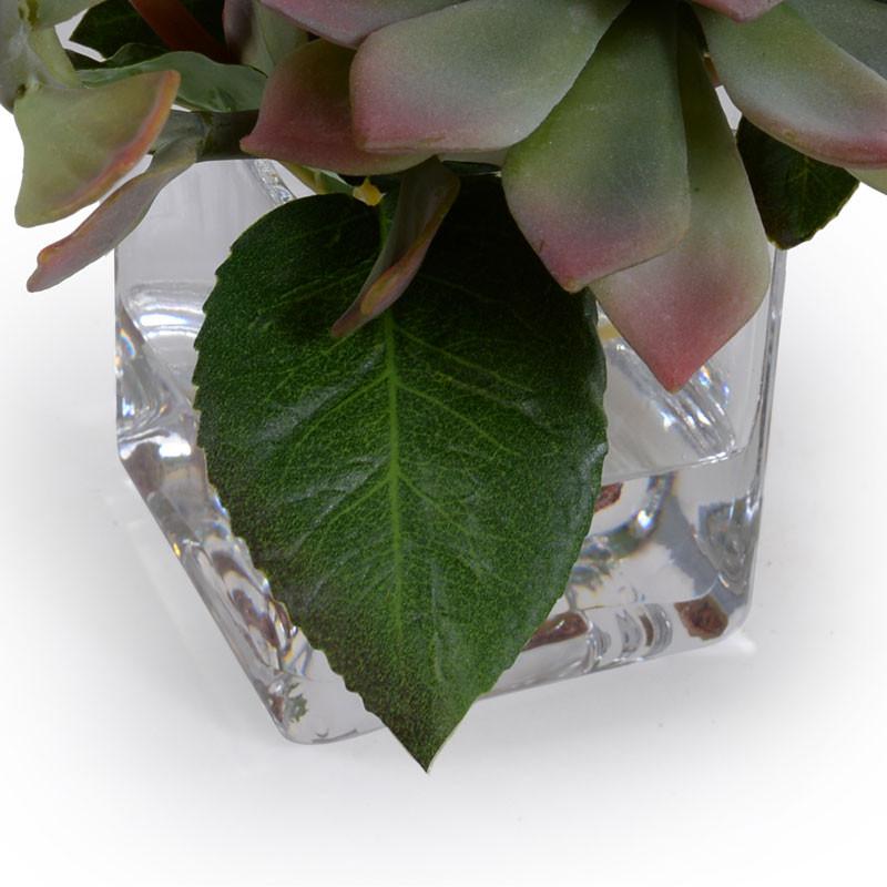 Succulent, Rose Arrangement