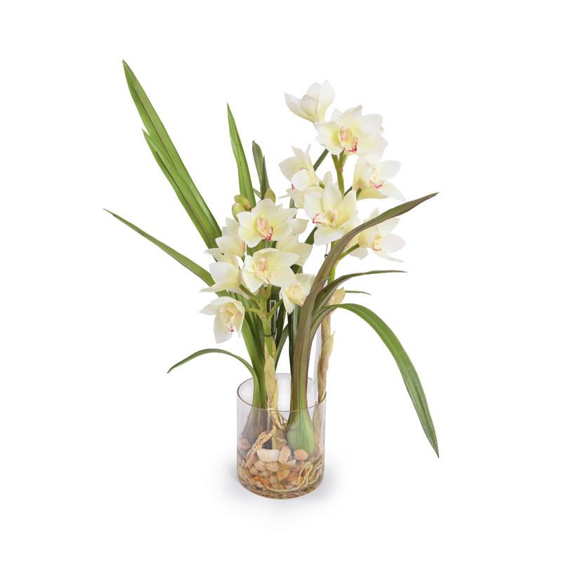 Cymbidium Orchid - New Growth Designs