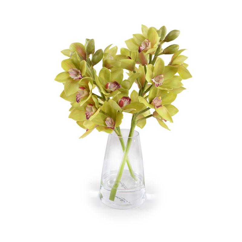 Cymbidium Orchid Arrangement - New Growth Designs