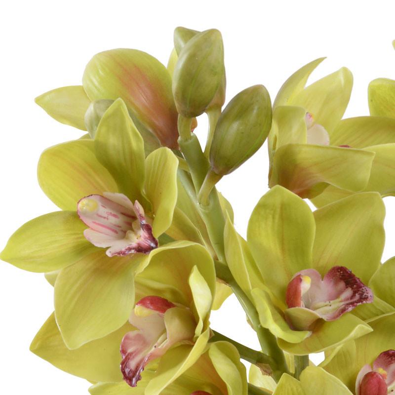 Cymbidium Orchid Arrangement - New Growth Designs