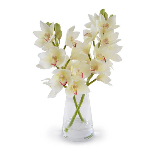 Cymbidium Orchid Arrangement - New Growth Designs