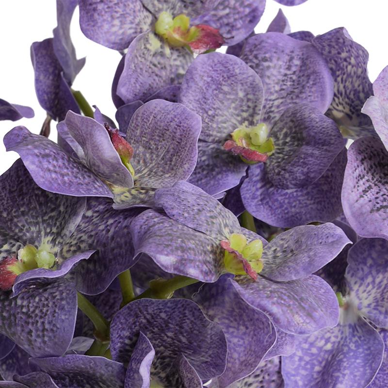 Vanda Orchids in glass