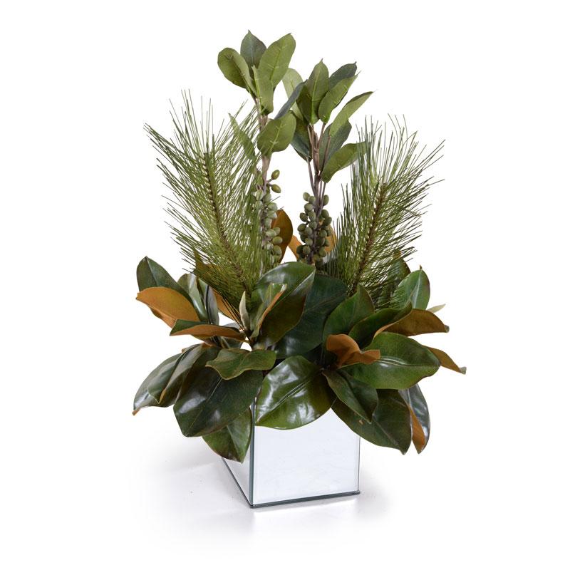 Magnolia, Pine, Berry