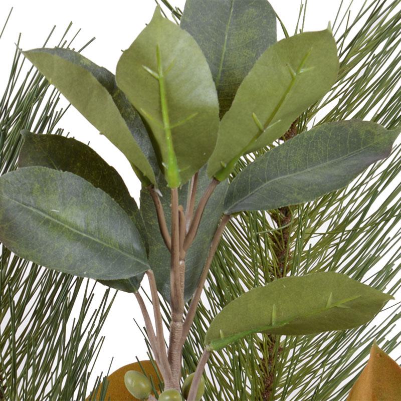 Magnolia, Pine, Berry