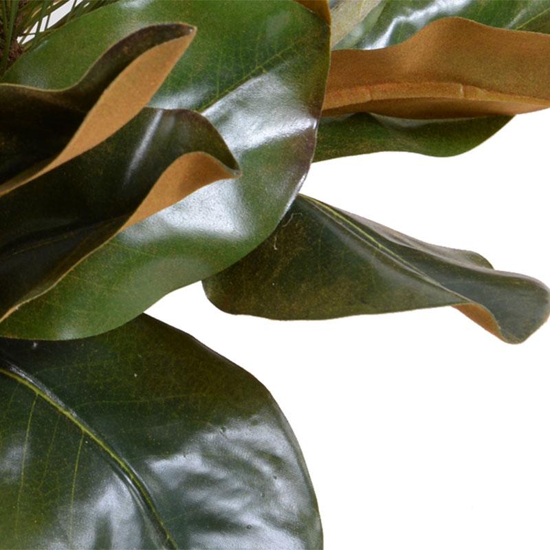 Magnolia, Pine, Berry