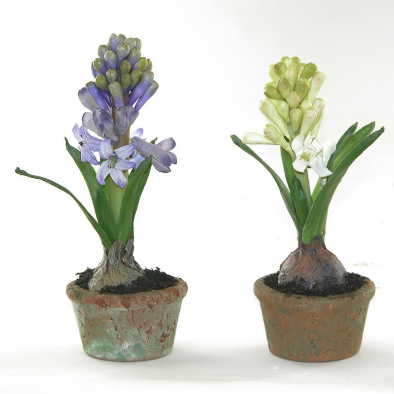 Hyacinth Mini Pot - New Growth Designs