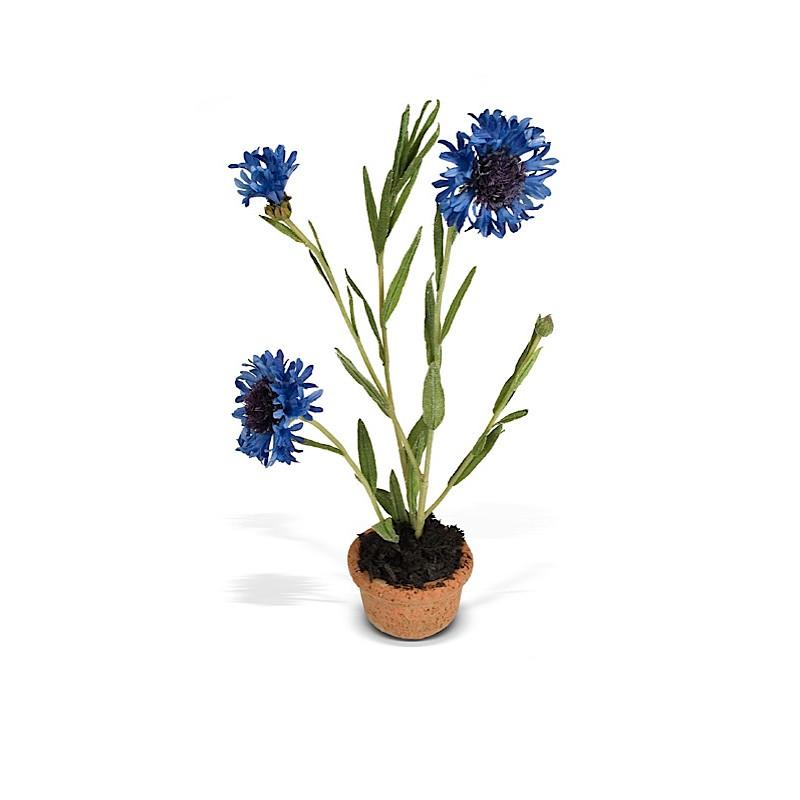 Bachelor's Button Mini Pot - New Growth Designs