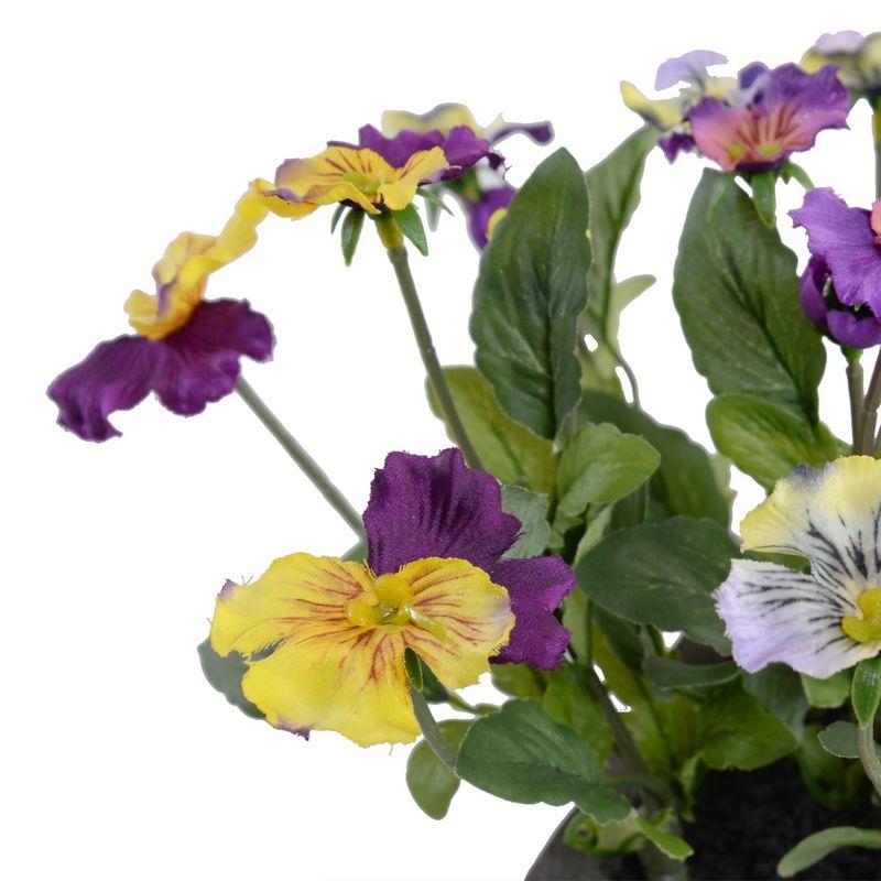 Johnny Jump Up (Viola)