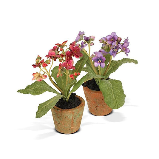 Aricula Mini Pot - New Growth Designs