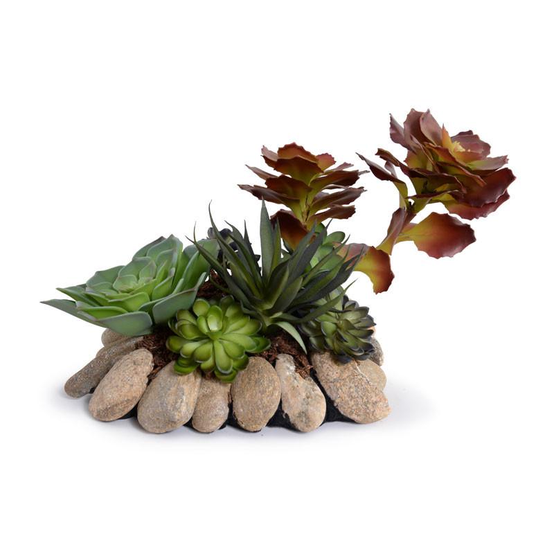Succulents Rock Garden
