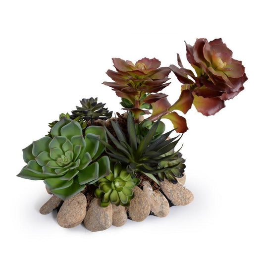 Succulents Rock Garden