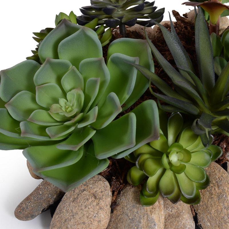 Succulents Rock Garden