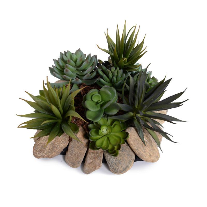 Succulents Rock Garden