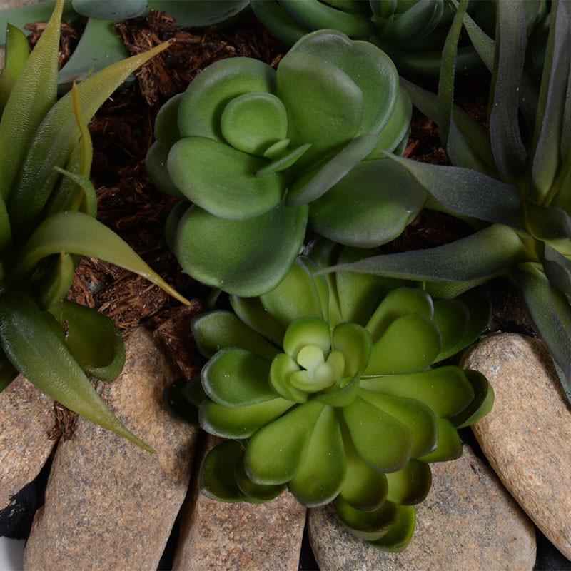 Succulents Rock Garden
