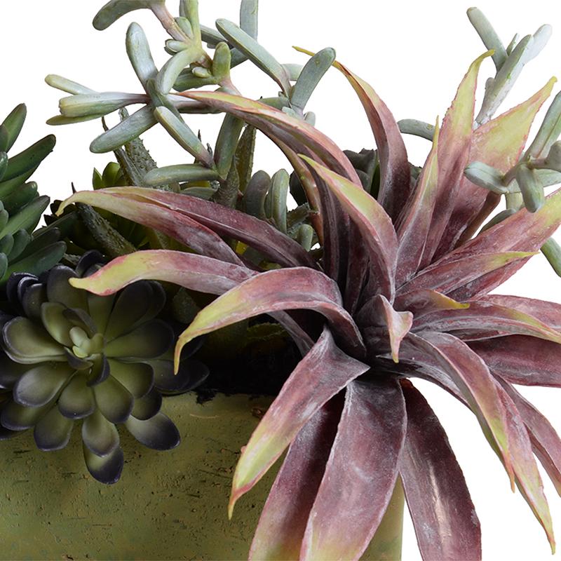 Succulents Long Planter