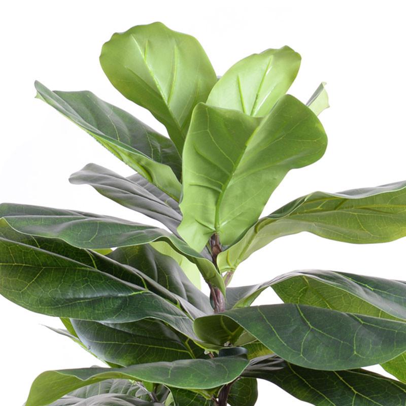 Fiddle-leaf Fig Tree, 62"H - New Growth Designs