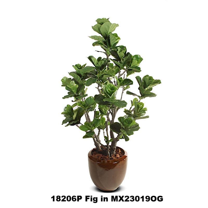 Glazed Terracotta Tree Planter - 19"Dia